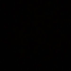 Meet your Posher, Jaylen